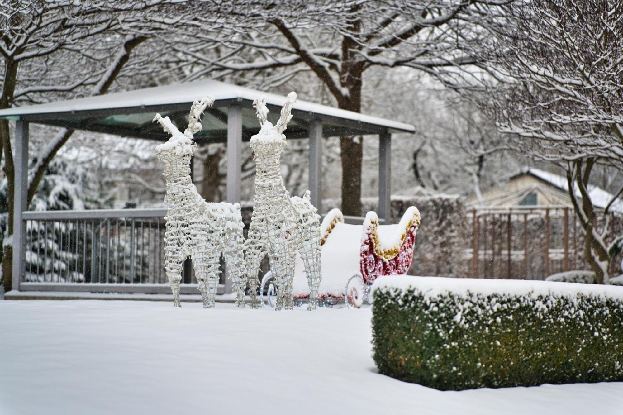 Hotel Am Schlosspark Zum Kurfuerst โอเบอร์ชเลสไฮม์ ภายนอก รูปภาพ