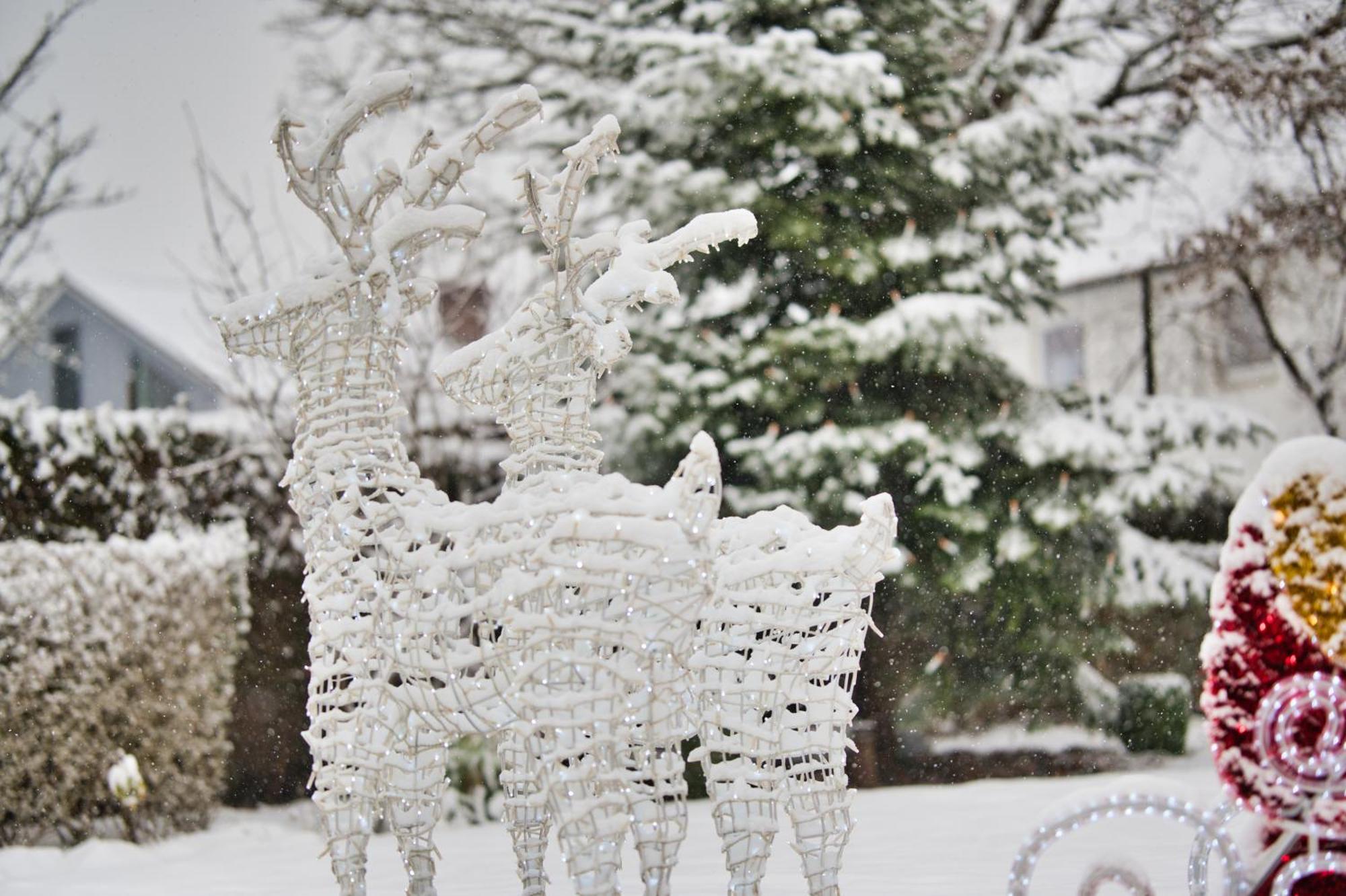 Hotel Am Schlosspark Zum Kurfuerst โอเบอร์ชเลสไฮม์ ภายนอก รูปภาพ