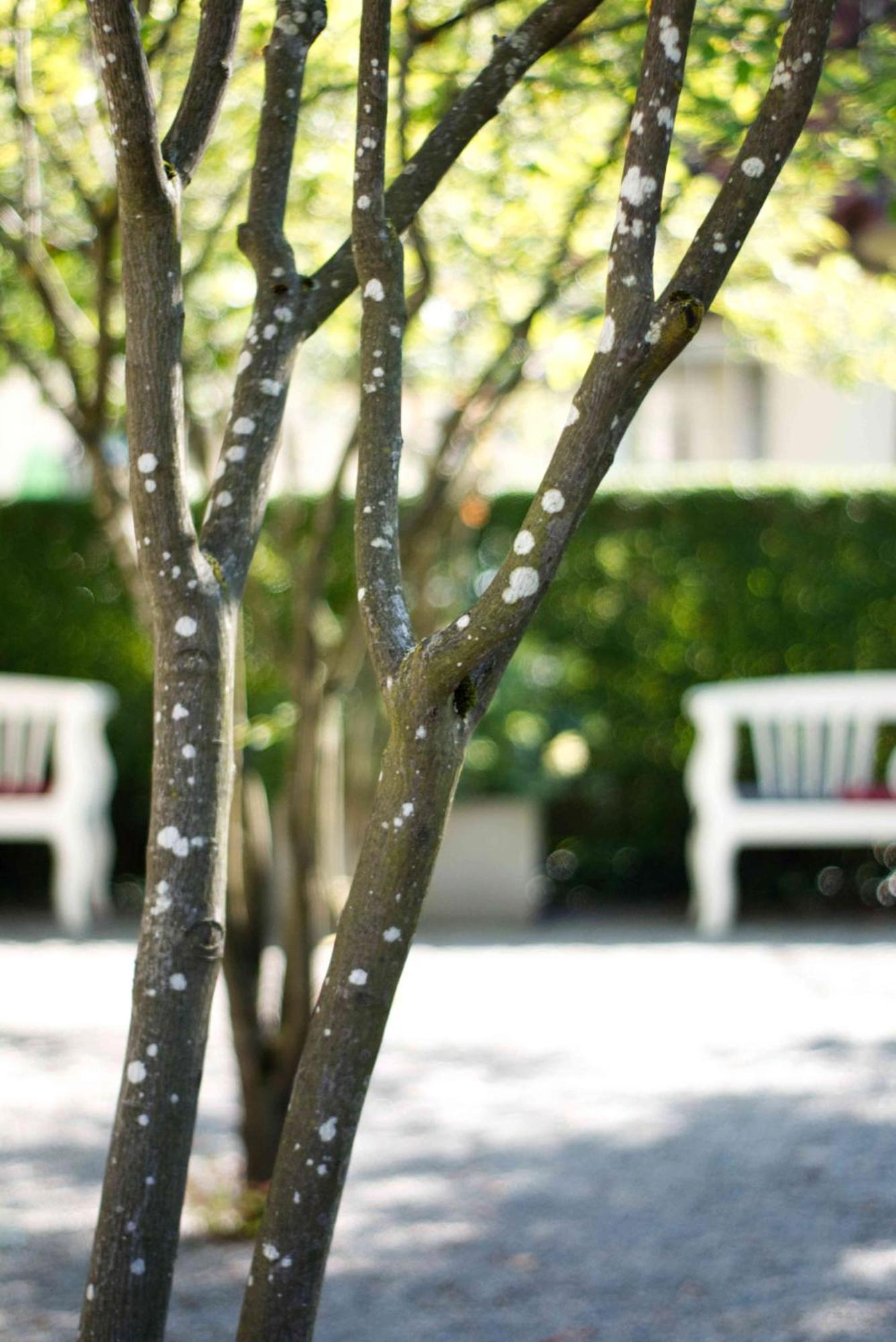 Hotel Am Schlosspark Zum Kurfuerst โอเบอร์ชเลสไฮม์ ภายนอก รูปภาพ